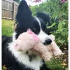 Steel Dog - Barnyard Baller Pig
