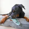 Steel Dog - Denim Muskie