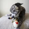 Steel Dog - Ruffian Flat Tiger