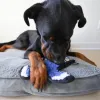 Steel Dog - Ruffioan Blue Jay